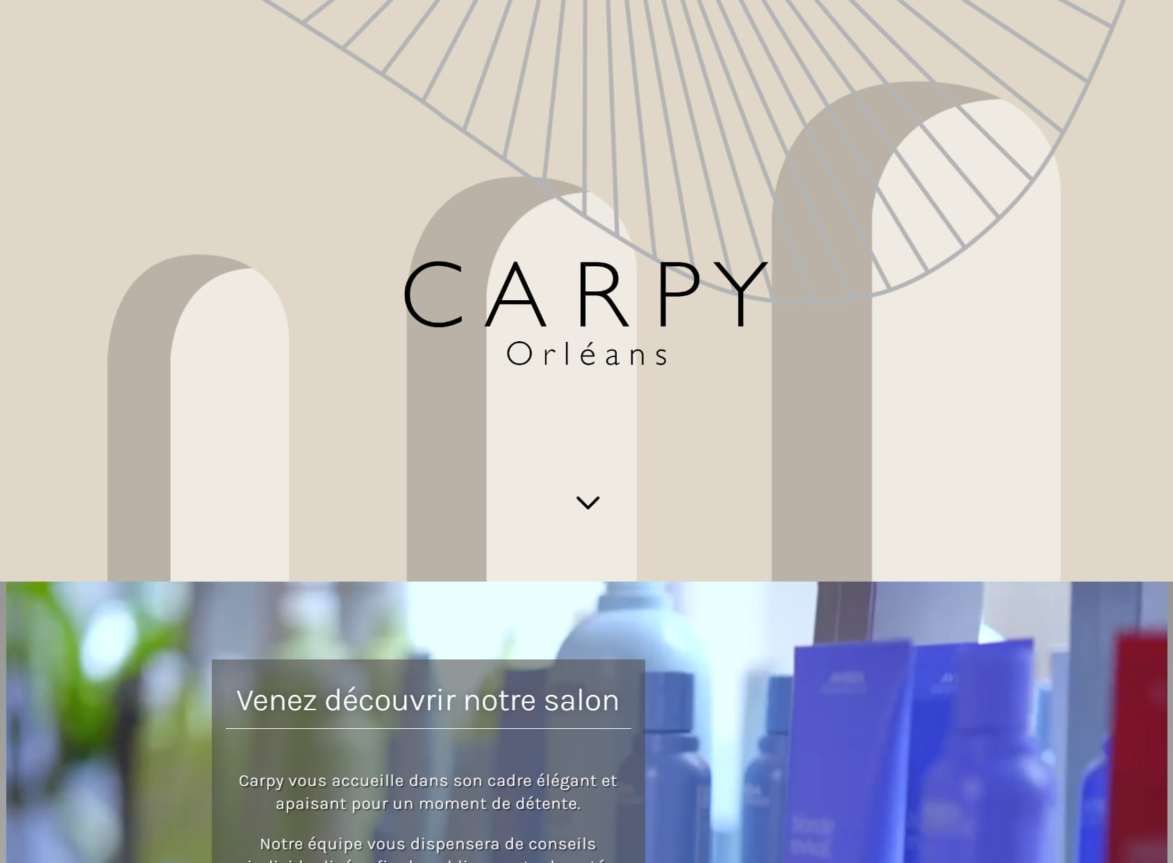 Carpy Coiffeur Coloriste Orleans