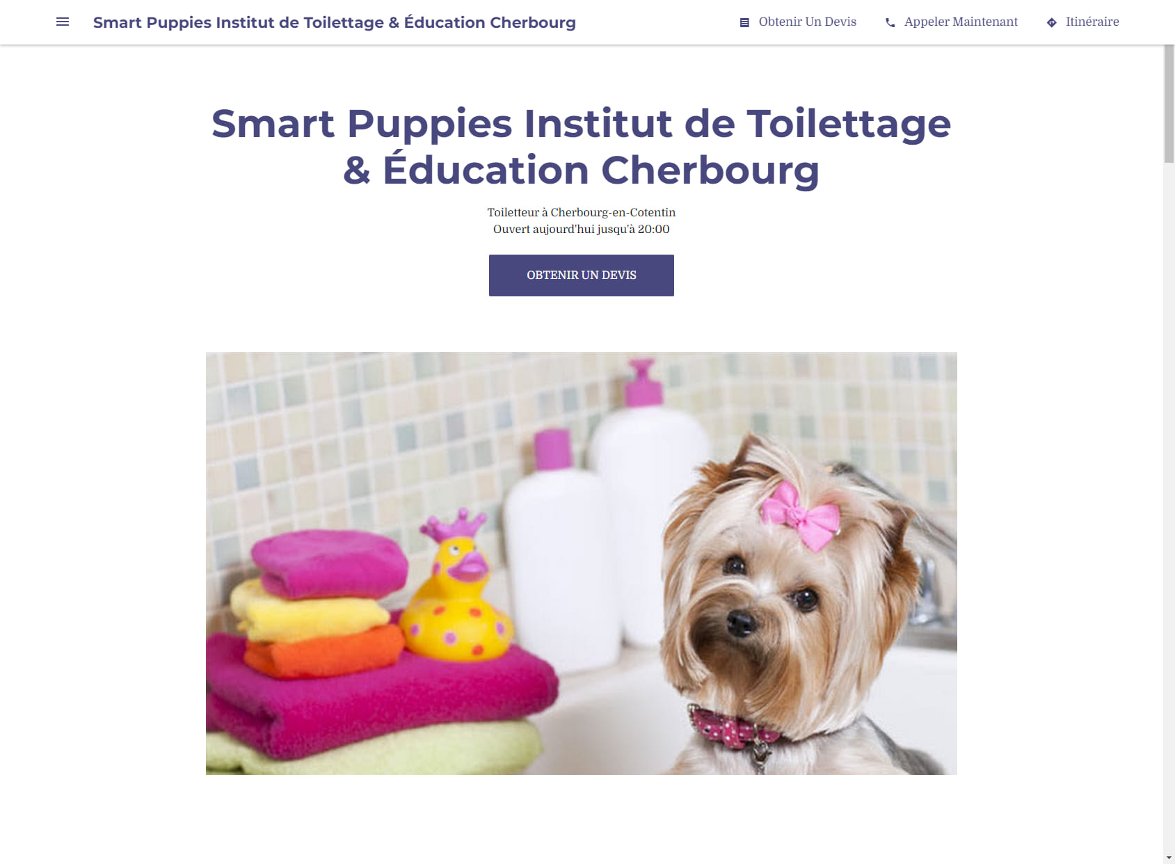 Smart Puppies Institut de Toilettage & Éducation Cherbourg