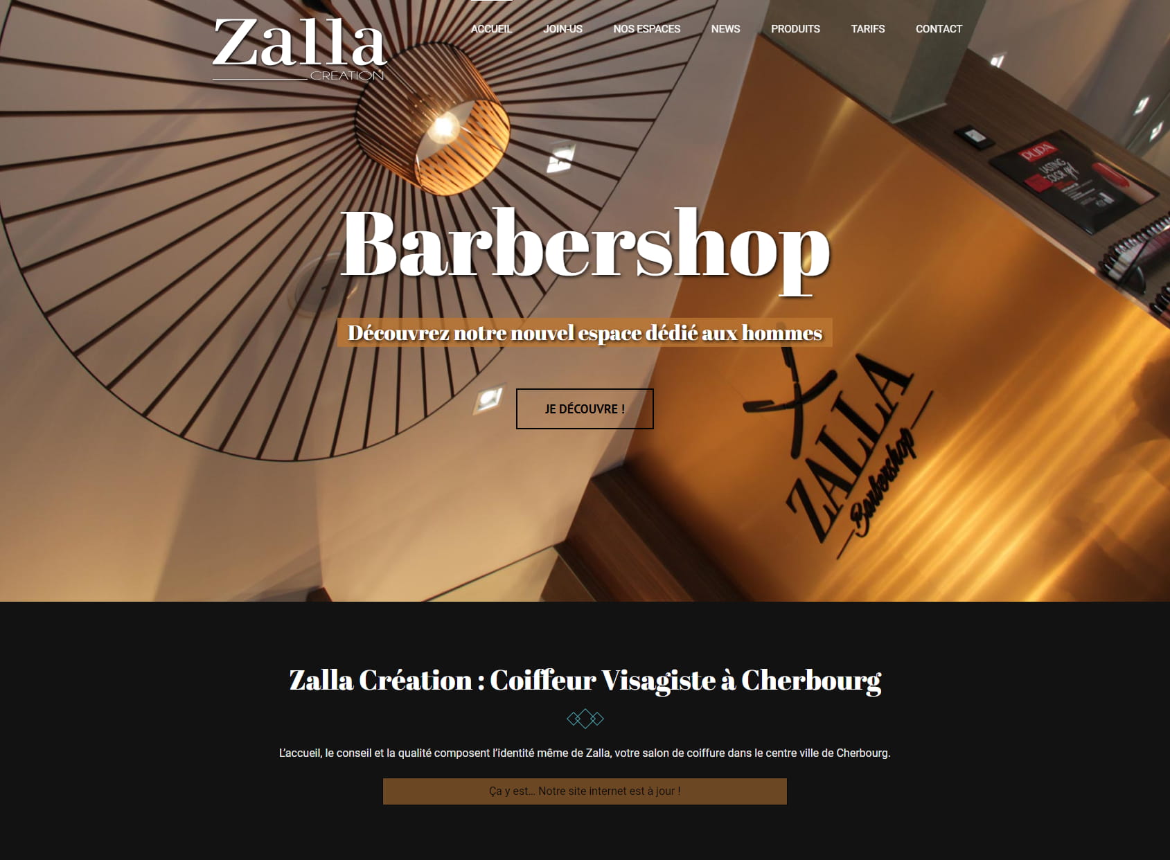Zalla _ _ Hairstyle Creation