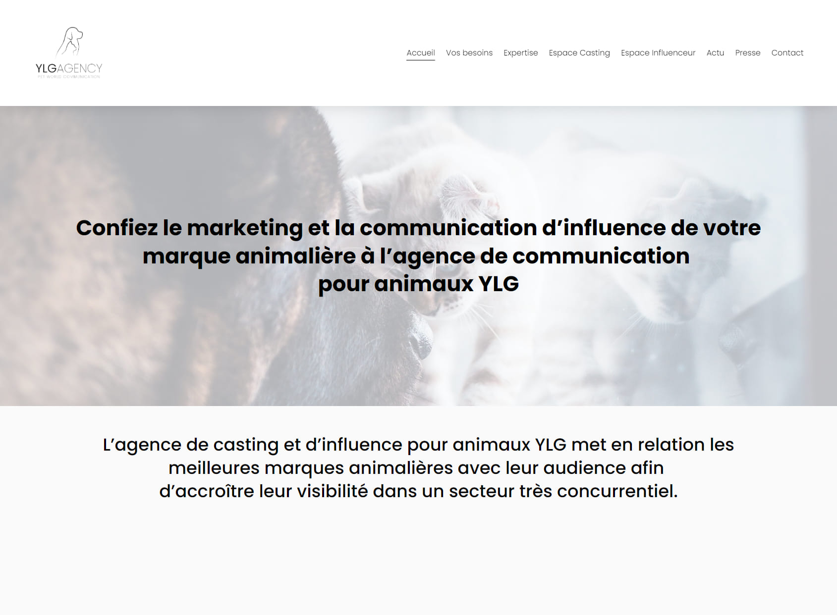 YLG - Agence De Communication Animaux